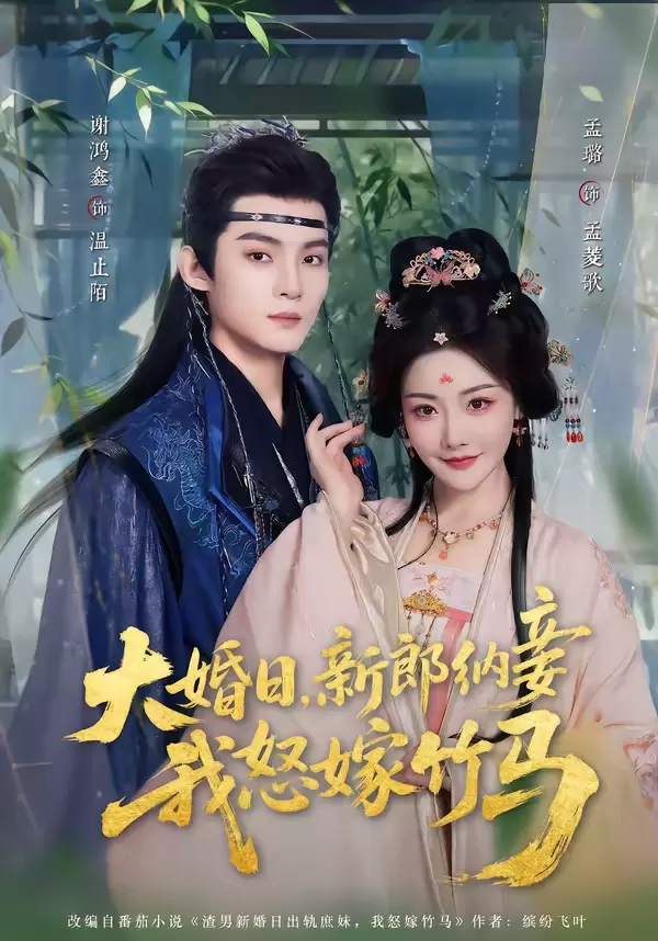 大婚日，新郎纳妾我怒嫁竹马 | 封面