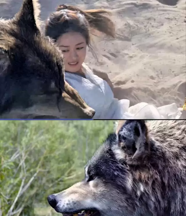 《楚乔传》楚乔选择宇文玥的三重叙事逻辑 | 相关图片